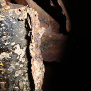 Spinne 1.6 70' – Bild 17