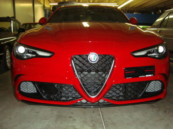 main-308-Giulia-3.jpg